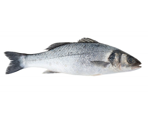 Sea Bass whole